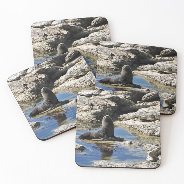 Item preview, Seal in the Kaikoura Peninsula designed and sold by franck380.