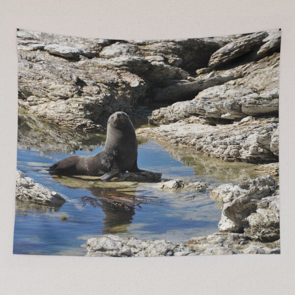 Item preview, Seal in the Kaikoura Peninsula designed and sold by franck380.