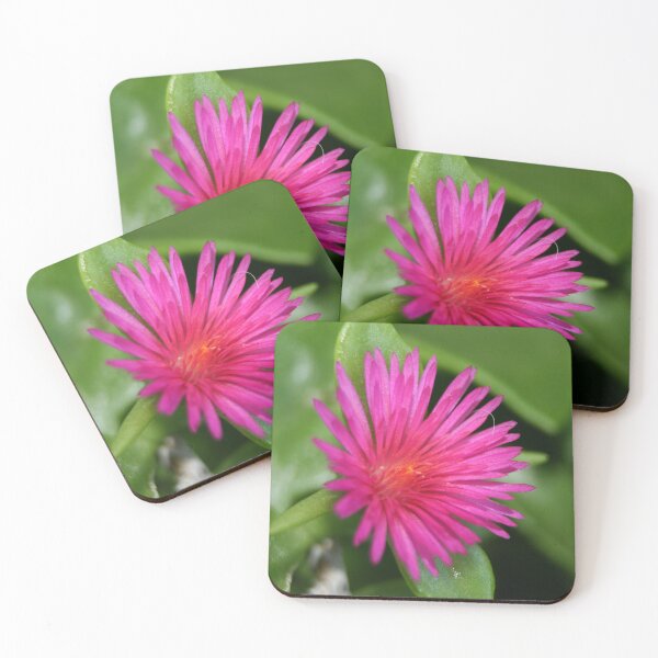 Item preview, Succulent Carpet Weed And Pink Flower designed and sold by taiche.