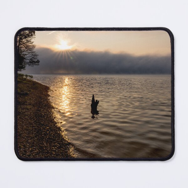 Item preview, Mystical Hazy Morning Tree Snag designed and sold by mljdwhite.
