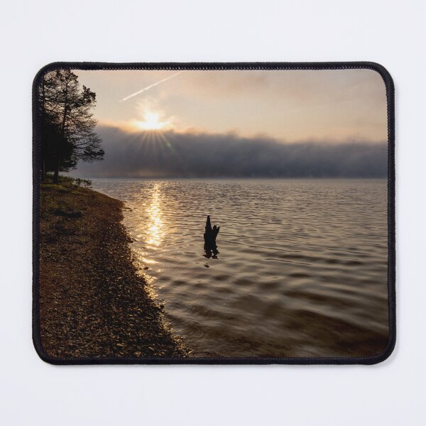 Item preview, Foggy Morning Tree Snag And Sunrays designed and sold by mljdwhite.