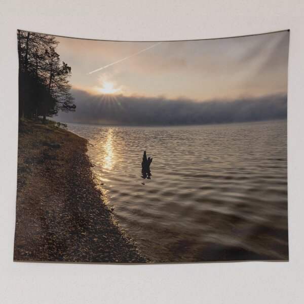 Item preview, Foggy Morning Tree Snag And Sunrays designed and sold by mljdwhite.