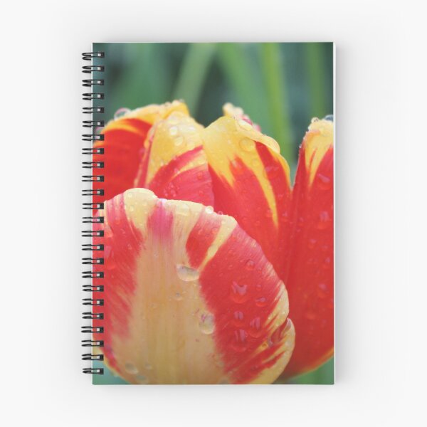 Item preview, fire tulip designed and sold by Megan A.