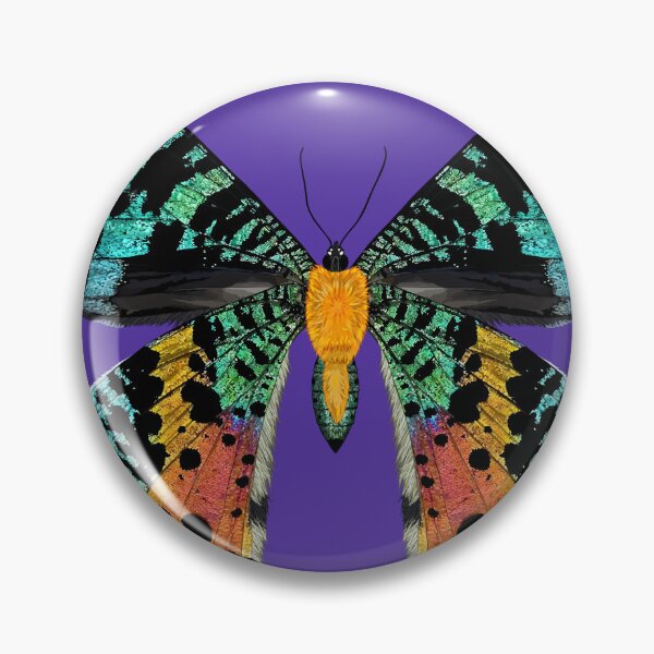 Item preview, Beautiful Iridescent Madagascan Sunset Moth designed and sold by Carleah Unique.