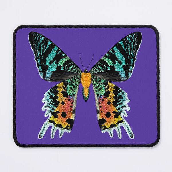 Item preview, Beautiful Iridescent Madagascan Sunset Moth designed and sold by Carleah Unique.