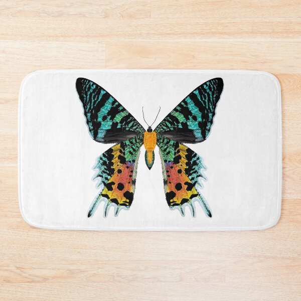 Item preview, Beautiful Iridescent Madagascan Sunset Moth designed and sold by Carleah Unique.
