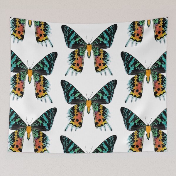Item preview, Beautiful Iridescent Madagascan Sunset Moth designed and sold by Carleah Unique.