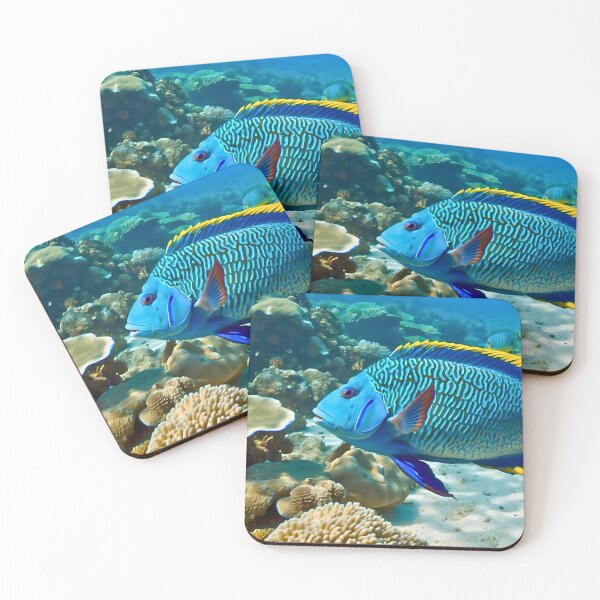 Item preview, The Great barrier Reef with Maroi Wrasse designed and sold by Frame of Mind .