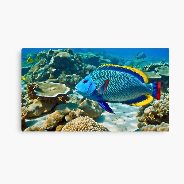 Artikel-Vorschau von Das Great Barrier Reef mit Maroi-Lippfisch, designt und verkauft von Casyjones.