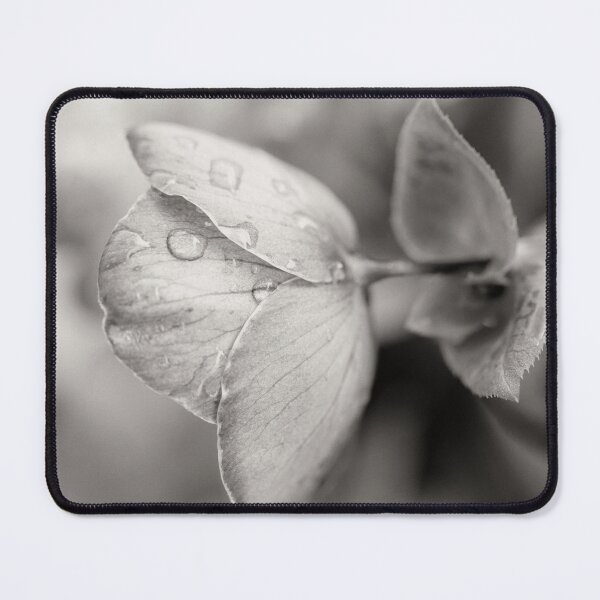 Item preview, Waterdrops On Helleborus Monochrome designed and sold by Tanya C Smith.