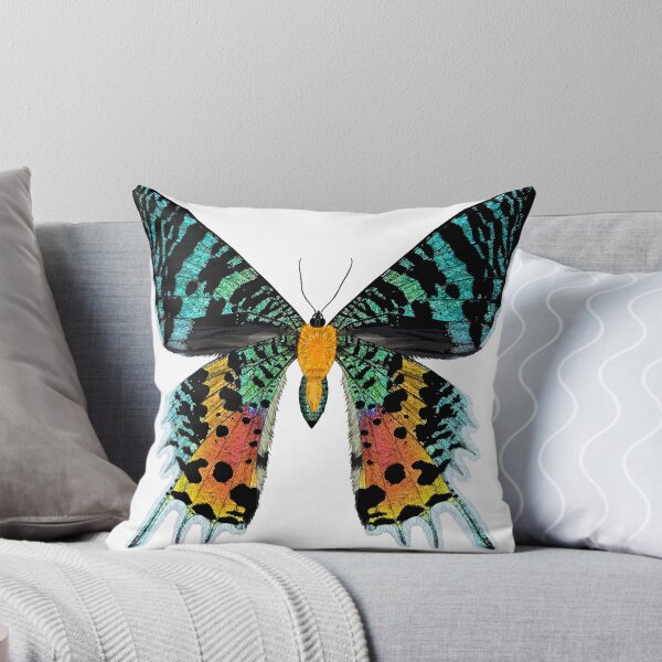 Item preview, Beautiful Iridescent Madagascan Sunset Moth designed and sold by Carleah Unique.