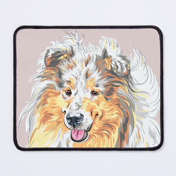 Item preview, Sweet dog Sable and white Rough Collie breed sitting designed and sold by kavalenkavart.