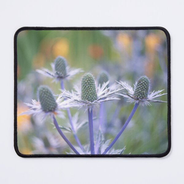 Item preview, Sea Holly designed and sold by Alisonchambers2.