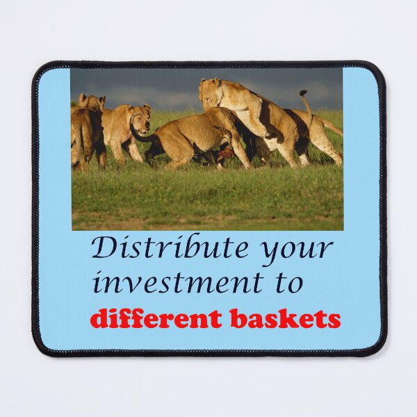 Item preview, Investment baskets designed and sold by annenambiro.