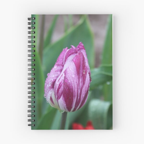 Item preview, mottled petals designed and sold by Megan A.