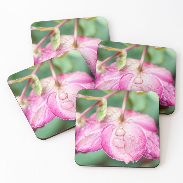 Item preview, Dewdrops On Helleborus designed and sold by Tanya C  Smith.