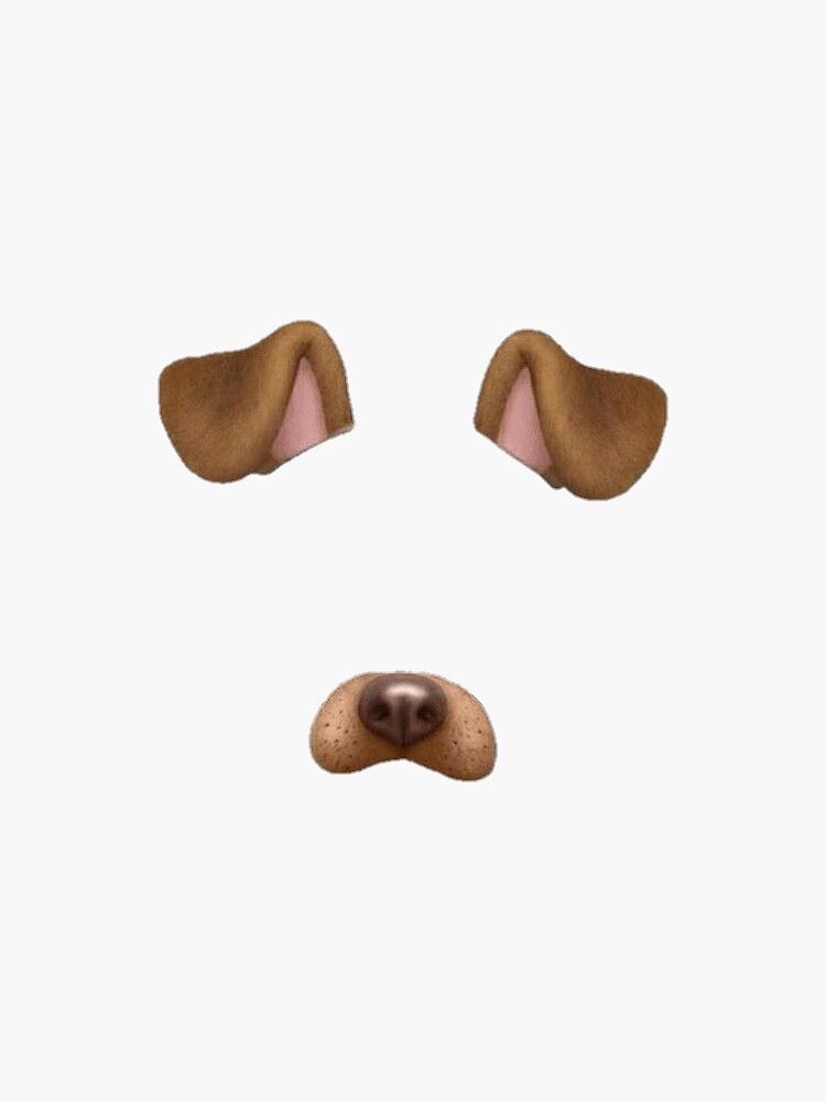 "Snapchat Dog Face Filter" Sticker for Sale by drewsandler Redbubble