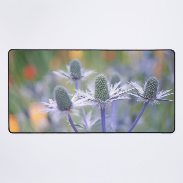 Item preview, Sea Holly designed and sold by Alisonchambers2.