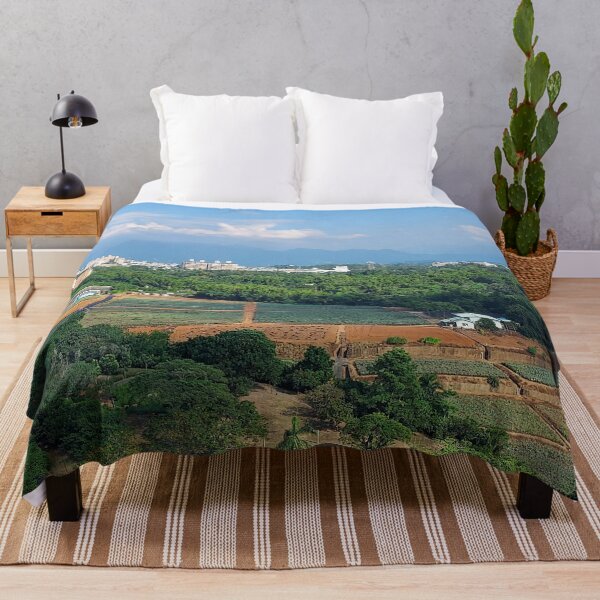 Item preview, Pineapple Fields - Chaiyi City - Taiwan - Formosa - Photographic Print designed and sold by TheHappyK.
