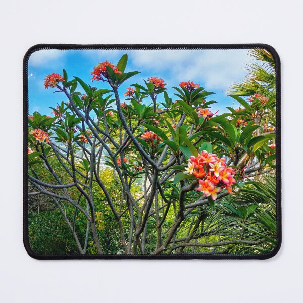 Item preview, FUNCHAL - PARADISE ISLAND BLOSSOMS NATURE - MADEIRA designed and sold by justyna-s28.