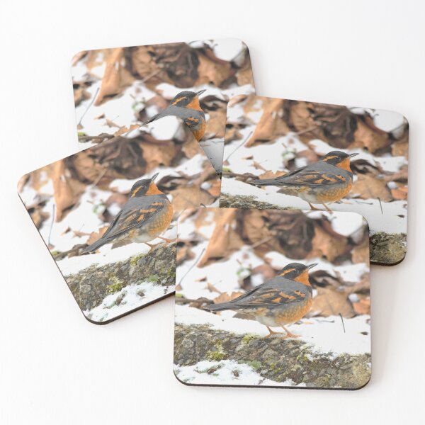 Item preview, Handsome Male Varied Thrush Songbird Amid Snow and Seed designed and sold by walkswithnature.