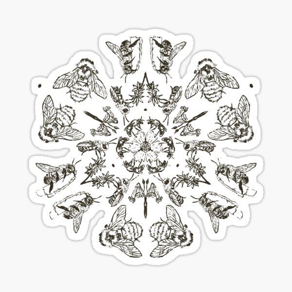 Bees of Ontario Sticker