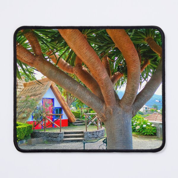 Item preview, MADEIRA - MONTE PALCE PARK - SANTANA TRADITINAL HOUSE- DRAGON TREE designed and sold by justyna-s28.
