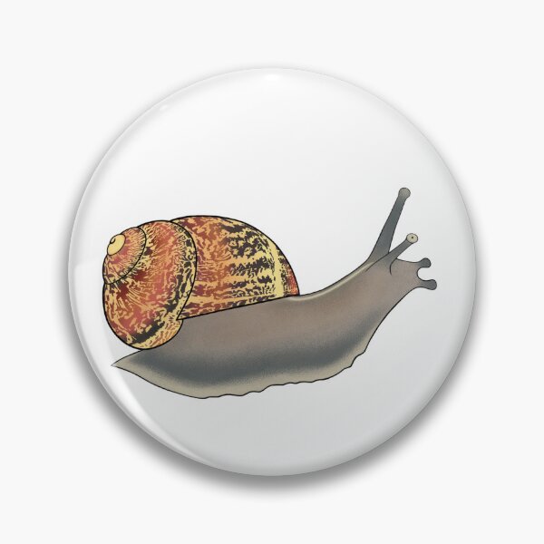 Item preview, Cornu aspersum - Garden Snail  designed and sold by Gastropoid.