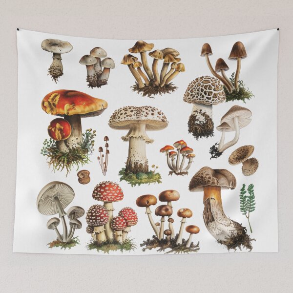 Item preview, Mushroom Hunting designed and sold by Croclair.