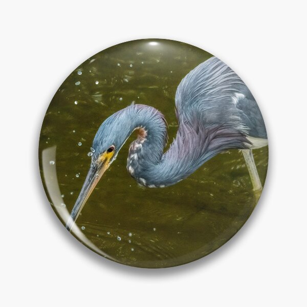 Item preview, Tricolored Heron Makes A Catch designed and sold by Debra Martz.