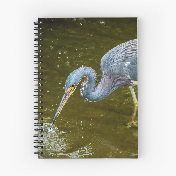 Item preview, Tricolored Heron Makes A Catch designed and sold by Debra Martz.
