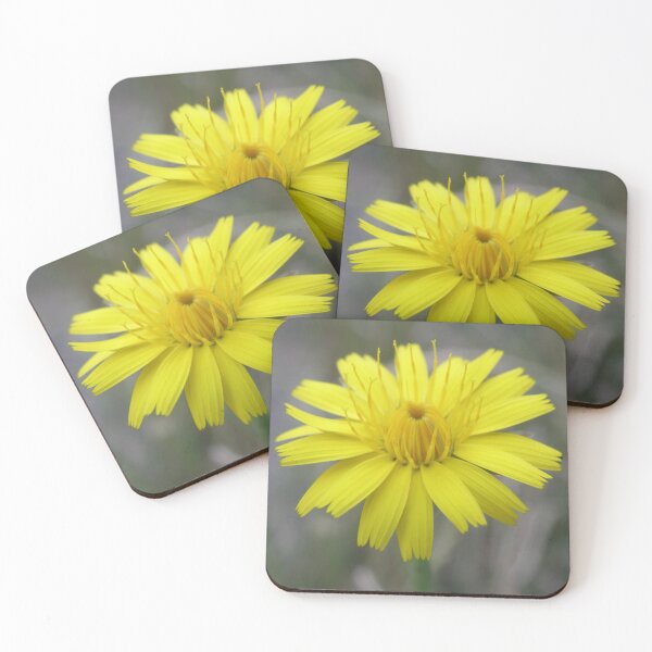 Item preview, Pretty Yellow Dandelion Flower Macro Photograph designed and sold by naturegallery.