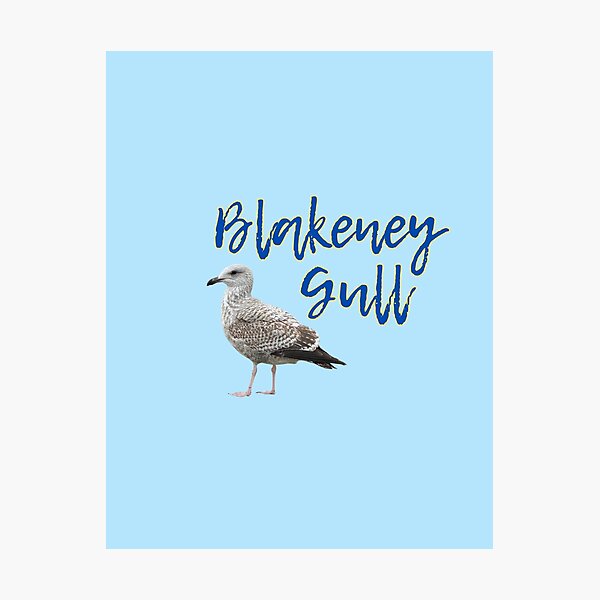 Item preview, Blakeney Gull - Gavin the Gull designed and sold by MyriadLifePhoto.