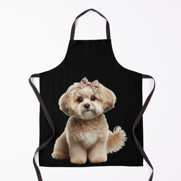 Aperçu de l'œuvre Maltipoo créée et vendue par joabaj.