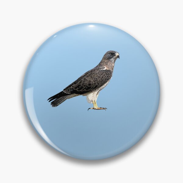 Item preview, Swainson's Hawk Color Design  designed and sold by designsasstultd.