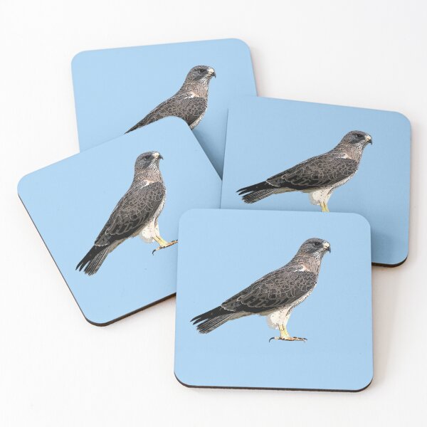 Item preview, Swainson's Hawk Color Design  designed and sold by designsasstultd.