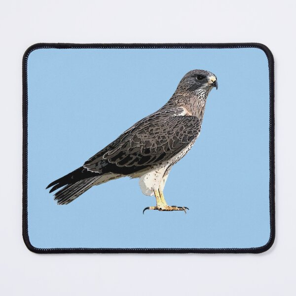 Item preview, Swainson's Hawk Color Design designed and sold by designsasstultd.