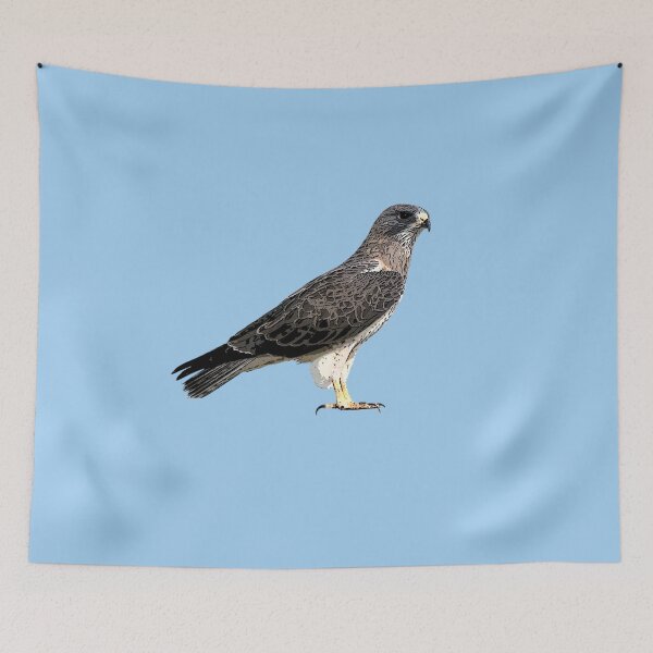 Item preview, Swainson's Hawk Color Design  designed and sold by designsasstultd.
