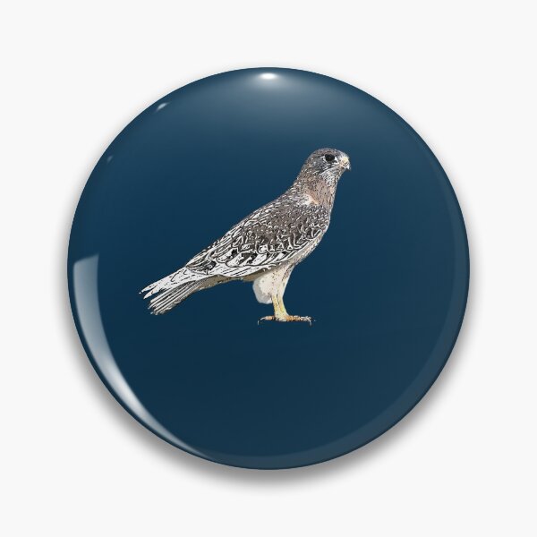 Item preview, Swainson's Hawk White Alternate Design  designed and sold by designsasstultd.