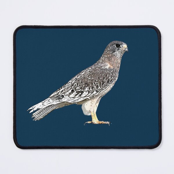 Item preview, Swainson's Hawk White Alternate Design  designed and sold by designsasstultd.