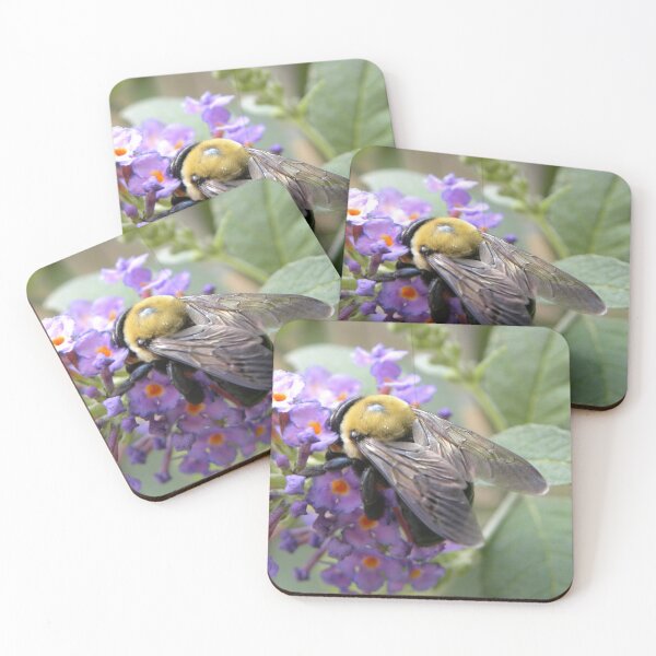Item preview, Carpenter Bee designed and sold by JennHolton.