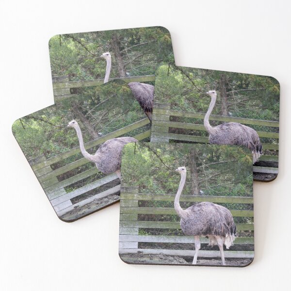 Item preview, Ostrich designed and sold by Cynthia48.