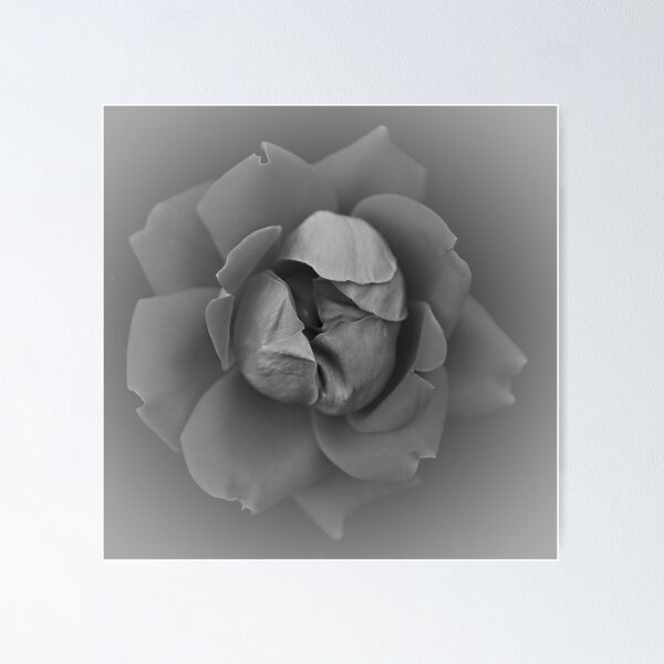 Item preview, A Rose Working the Way thru the Fog designed and sold by Sherry Hallemeier.