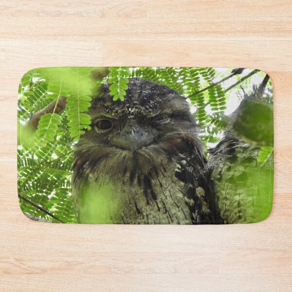 Item preview, Tawny frogmouth winking designed and sold by Mark Grimsley.