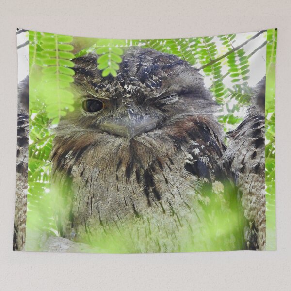 Item preview,  Tawny frogmouth winking at me designed and sold by Mark Grimsley.