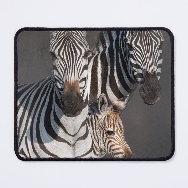 Item preview, Zebra Family with Newborn Foal designed and sold by vagabondgal.