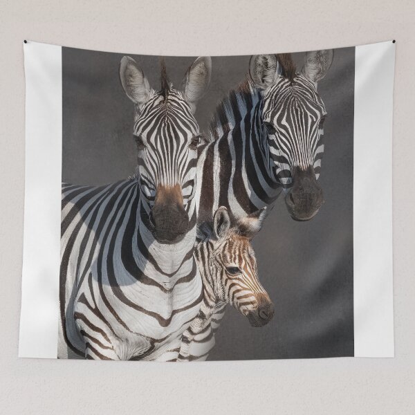 Item preview, Zebra Family with Newborn Foal designed and sold by vagabondgal.