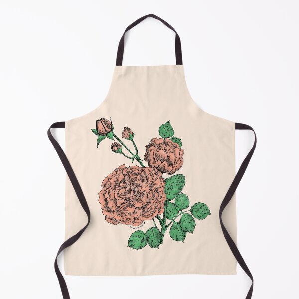Item preview, Apricot Quartered Rose Bloom Very Full 40+ Petals In 3+ Rows designed and sold by Rachael Taylor.