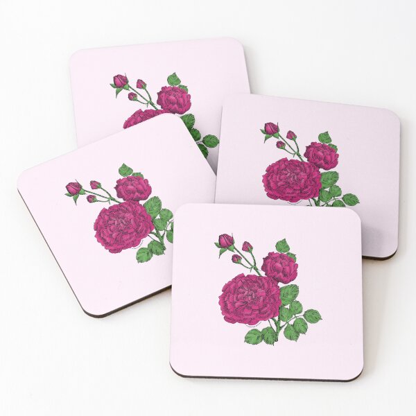 Item preview, Deep Pink Quartered Rose Bloom Very Full 40+ Petals In 3+ Rows designed and sold by Rachael Taylor.