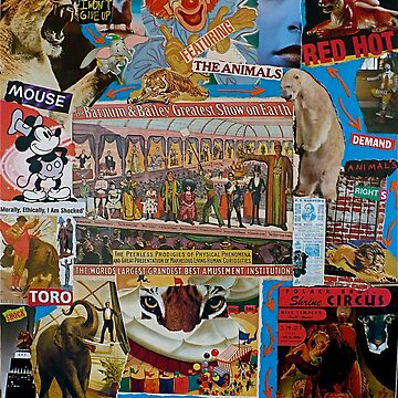 Artwork thumbnail, CIRCUS # 2 by JoeRomano